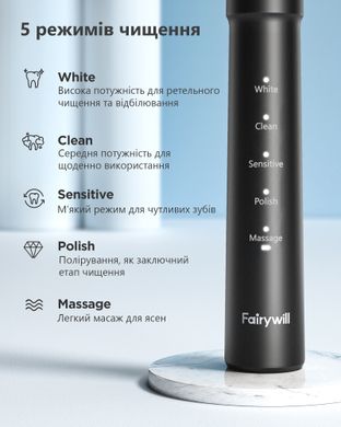 Комплект іригатор Fairywill 5020E та зубна щітка Fairywill E11, чорний